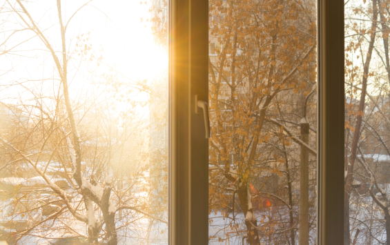 Solar Control Window Tint